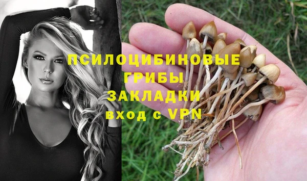 наркотики Новозыбков