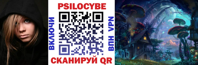 купить   Пушкино  hydra ТОР  Псилоцибиновые грибы Psilocybe 