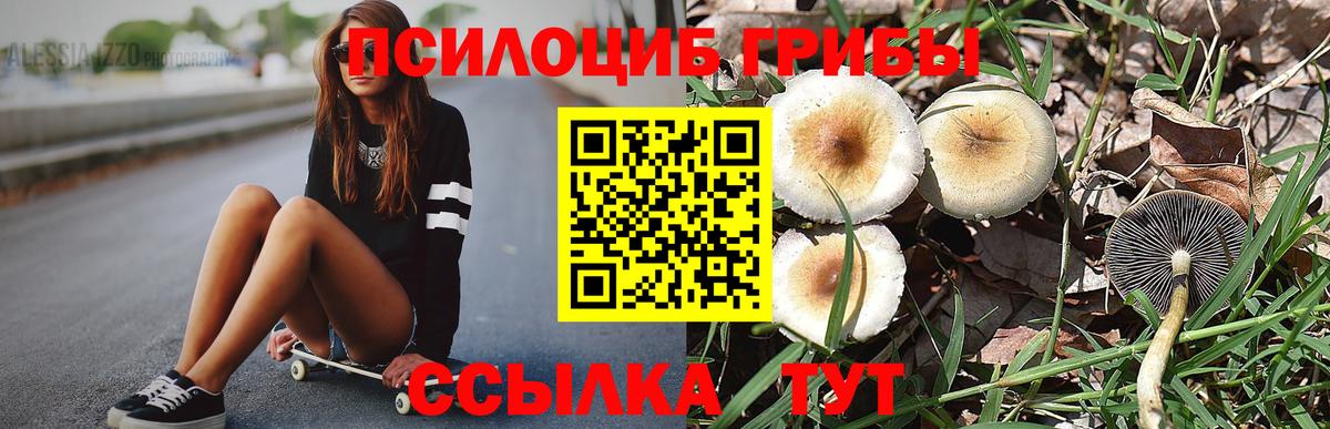 Псилоцибиновые грибы Magic Shrooms  Вход с VPN  Пушкино 
